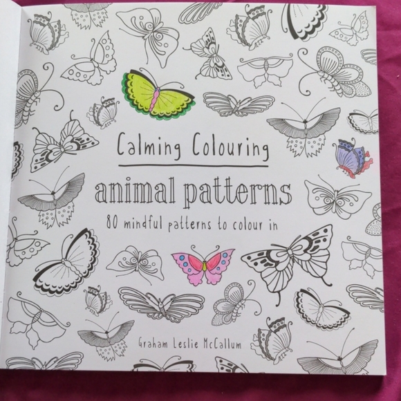 FREE W/ANY PURCHASE Adult Colouring Book - Picture 3 of 12